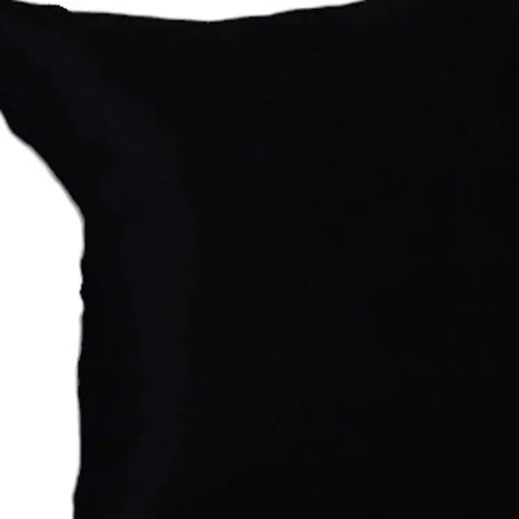 Set Of Two 16" X 16" Black Polyester Zippered Pillow Cover