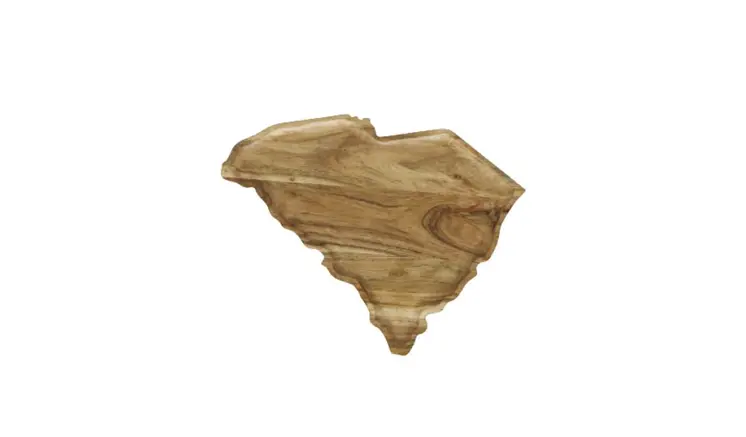 14" Brown Solid Wood South Carolina Cheese Board