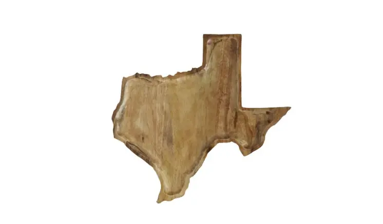 14" Brown Solid Wood Texas Cheese Board