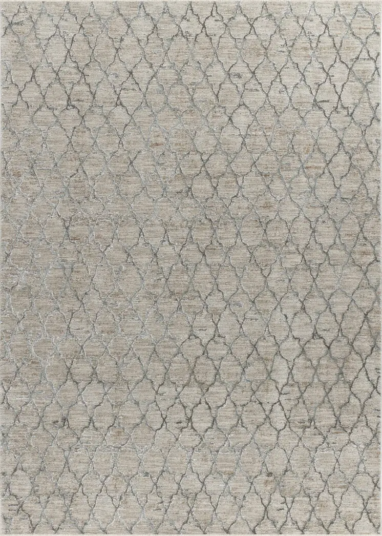 8' X 10' Beige Moroccan Stain Resistant Area Rug