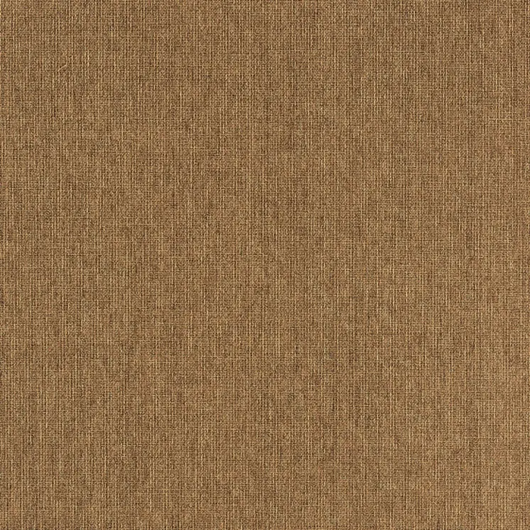 Tan Stain Resistant Indoor Outdoor Area Rug