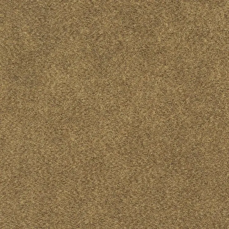 5' X 7' Rich Gold Shag Tufted Handmade Stain Resistant Area Rug