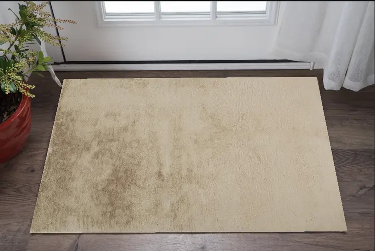 2' X 3' Tan Shag Area Rug