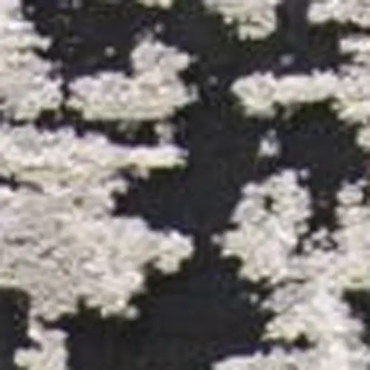 8' Black White And Gray Runner Rug