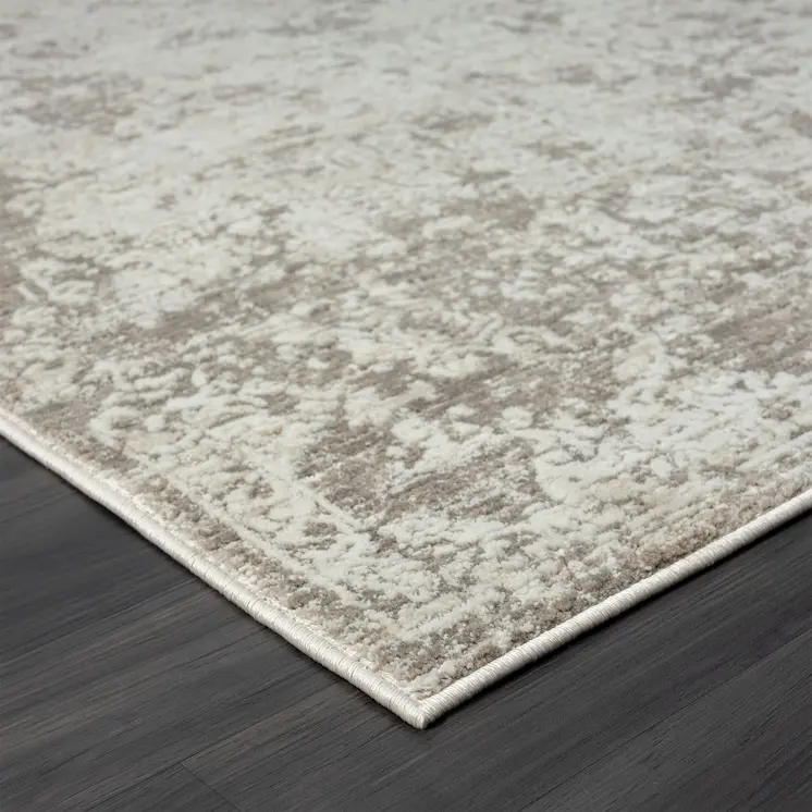 4' X 6' Gray Abstract Distressed Area Rug