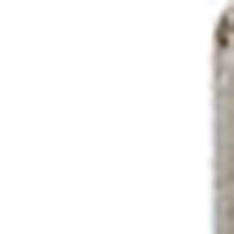 5' X 8' Beige Botanical Area Rug