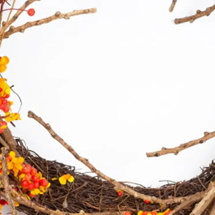 25" Brown Orange And Red Fall Berry And Twig Artificial Wreath