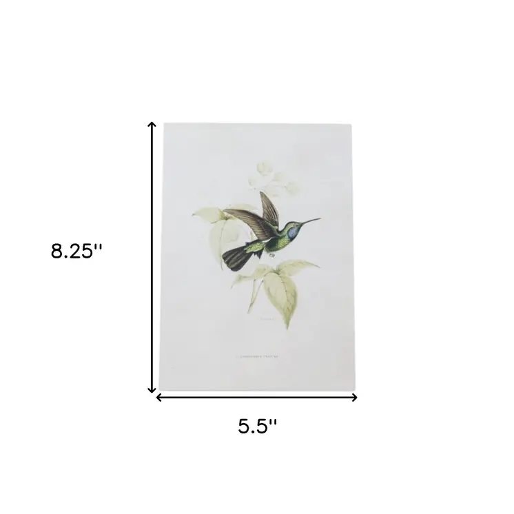 Set of Four White Hummingbird Framed Art