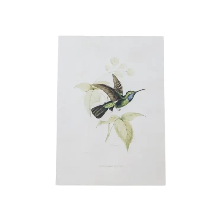 Set of Four White Hummingbird Framed Art