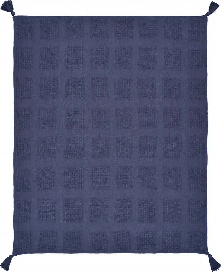 50" X 60" Blue Woven Cotton Throw Blanket with Tassels