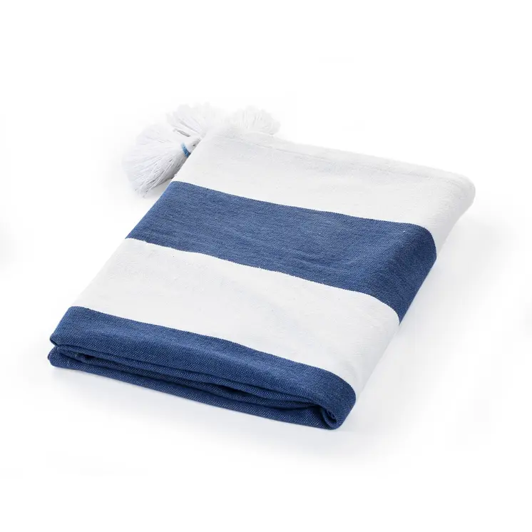 50" X 60" Blue and White Cotton Woven Striped Throw Blanket with Tassels