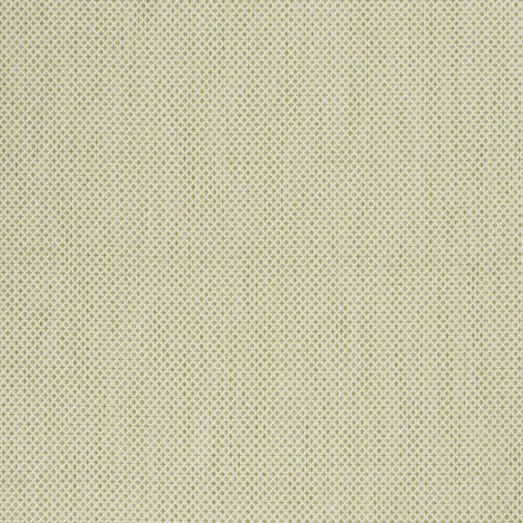 5' X 7' Green and Ivory Indoor Outdoor Area Rug