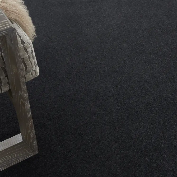 8' X 11' Black Indoor Outdoor Area Rug