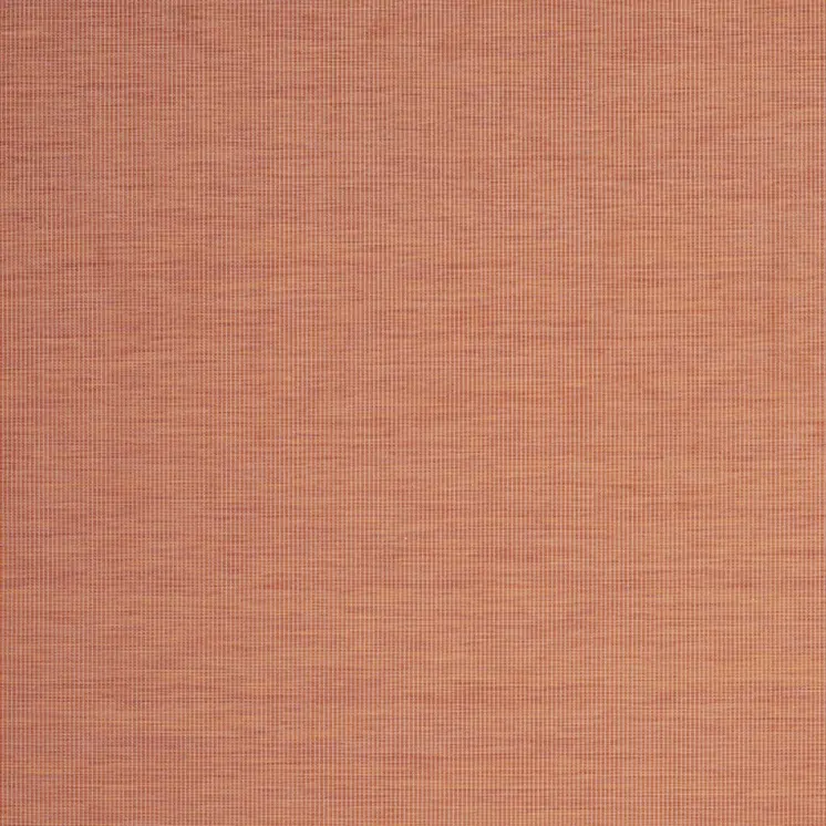 8' X 10' Terra Cotta Indoor Outdoor Area Rug