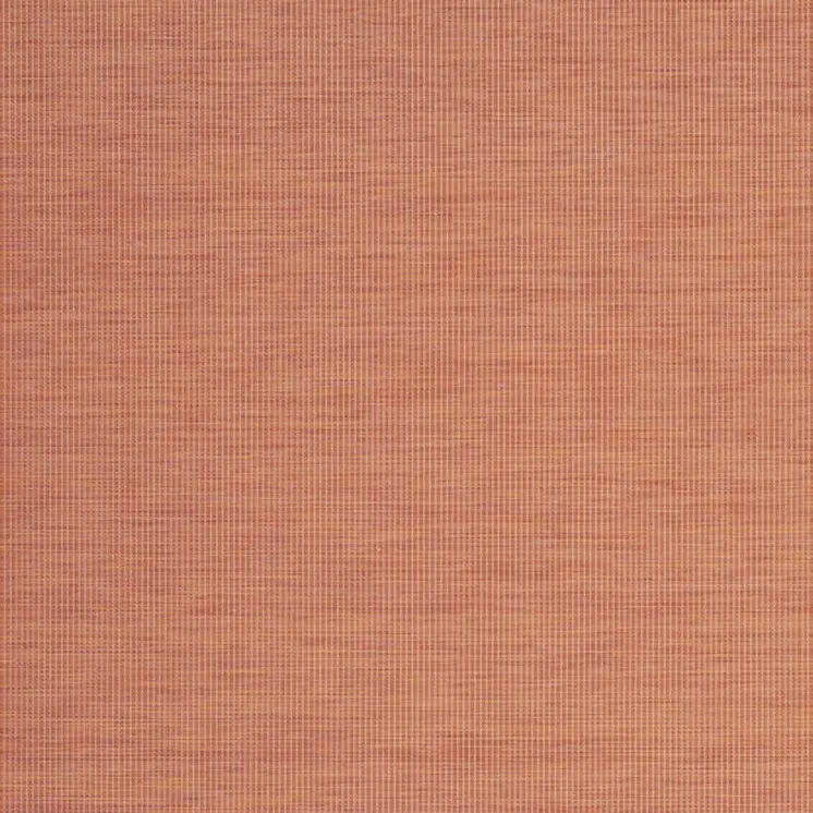 8' X 10' Terra Cotta Indoor Outdoor Area Rug