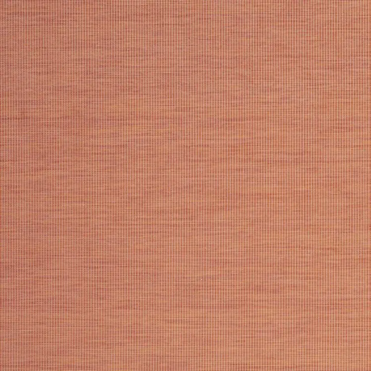 7' X 10' Terracotta Indoor Outdoor Area Rug