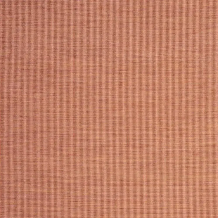 7' X 10' Terracotta Indoor Outdoor Area Rug