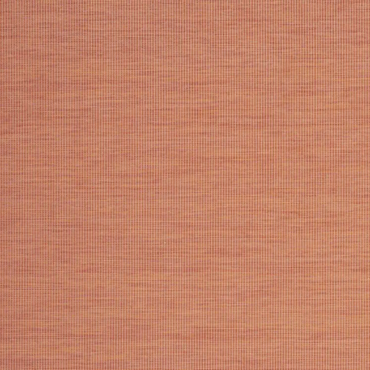 7' X 10' Terracotta Indoor Outdoor Area Rug