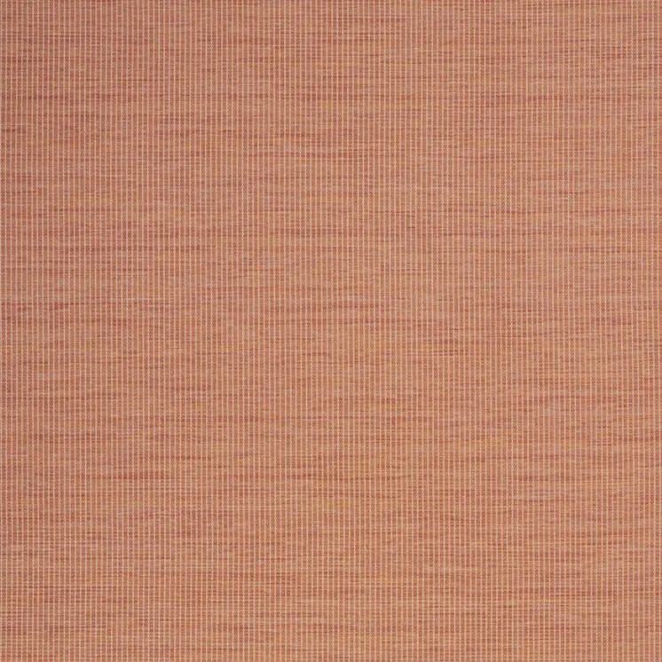 5' X 7' Terracotta Indoor Outdoor Area Rug
