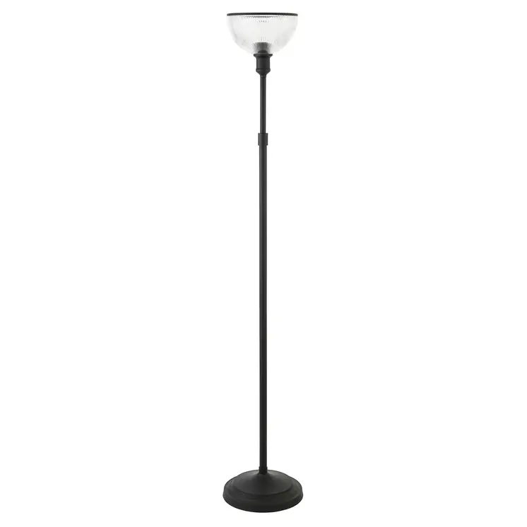65" Black Novelty Floor Lamp With Clear Transparent Glass Dome Shade