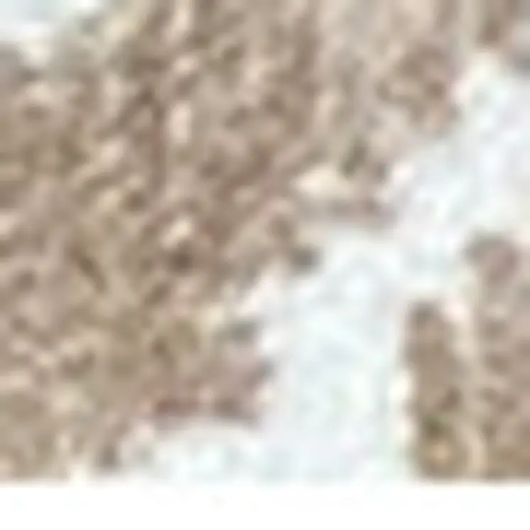 2' X 4' Sand Moroccan Machine Tufted Area Rug With UV Protection