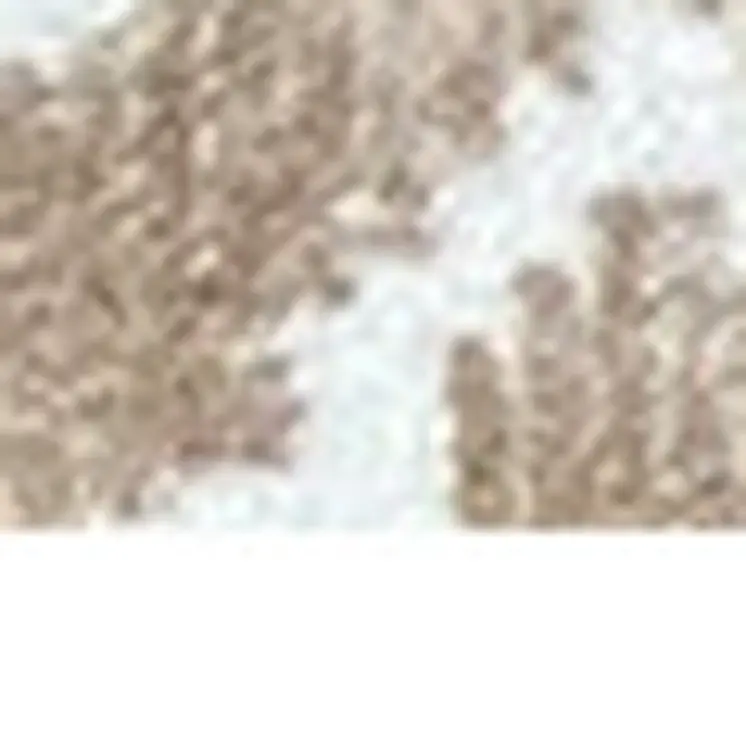 2' X 4' Sand Moroccan Machine Tufted Area Rug With UV Protection