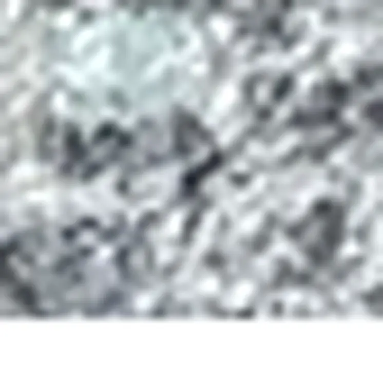 2' X 3' Gray Oriental Washable Area Rug With UV Protection