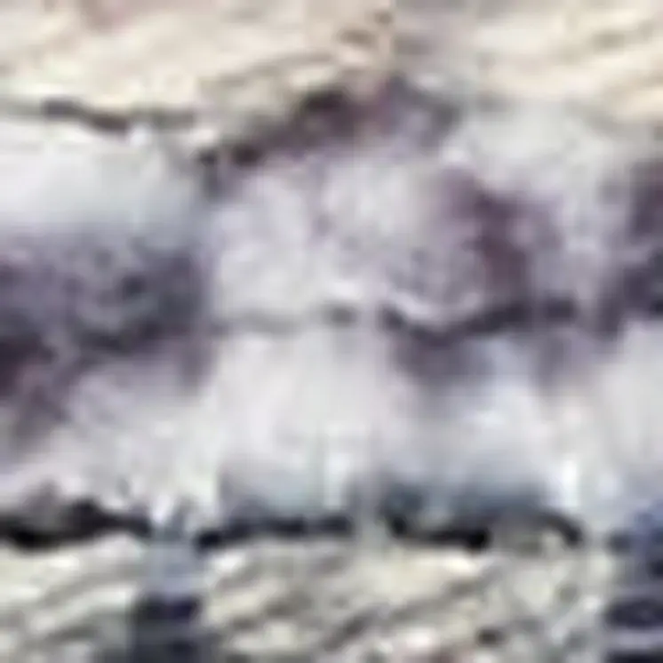 8' X 10' Gray Ivory and Blue Floral Distressed Washable Area Rug