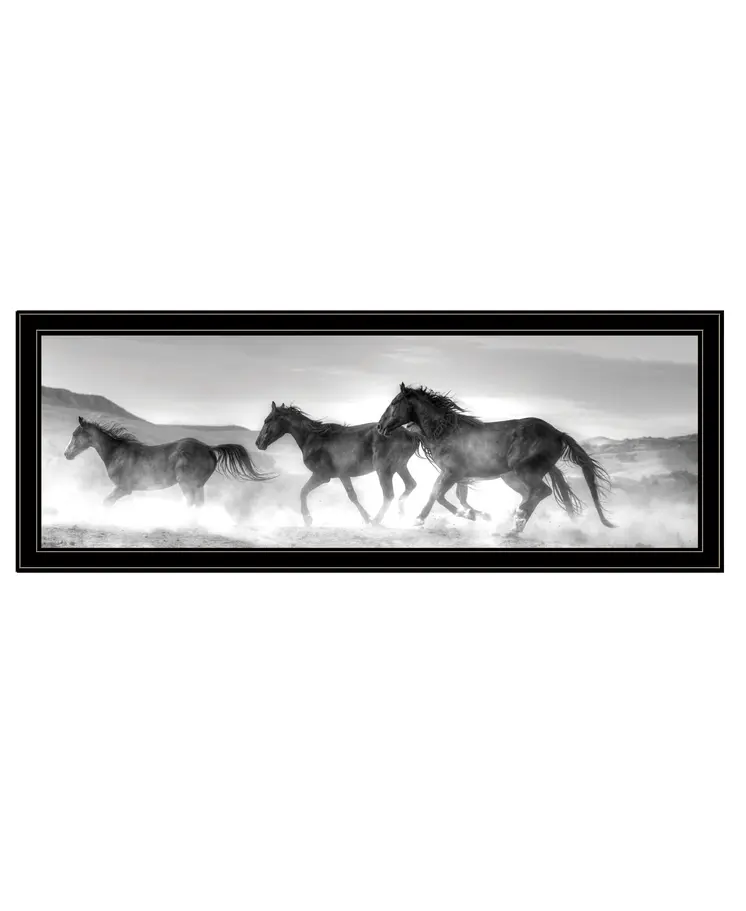 Horses Rolling By Black Framed Print Wall Art