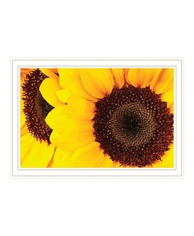 Sunflower Portrait White Framed Print Wall Art