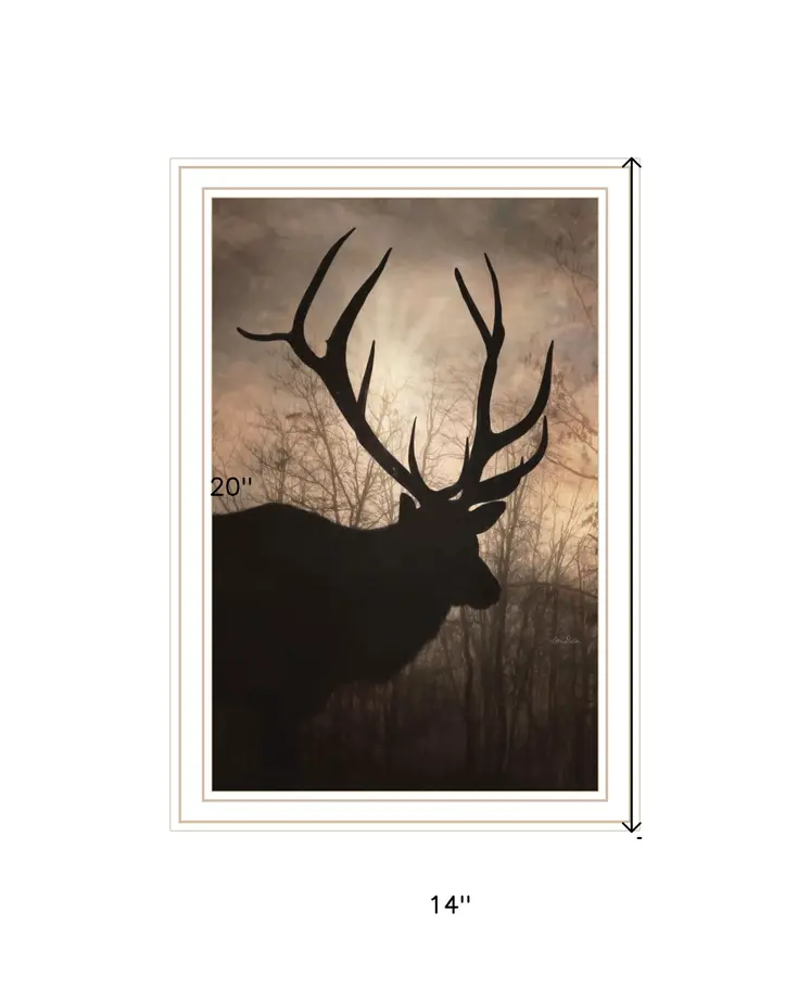 Elk Sunrise White Framed Print Wall Art
