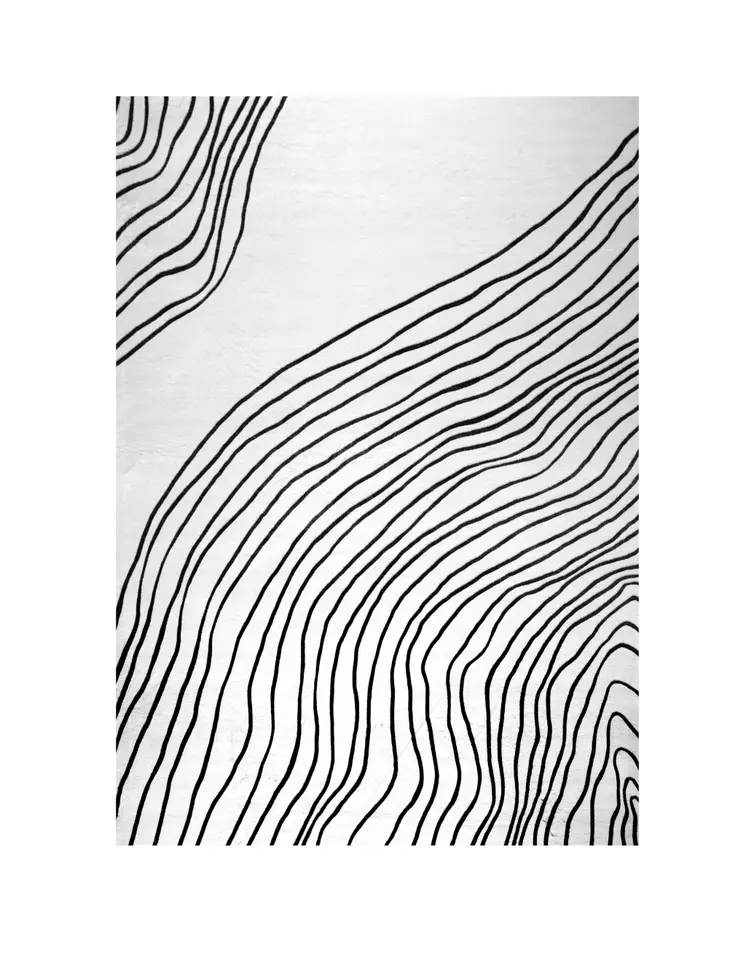 7' X 10' Black and White Abstract Distressed Area Rug