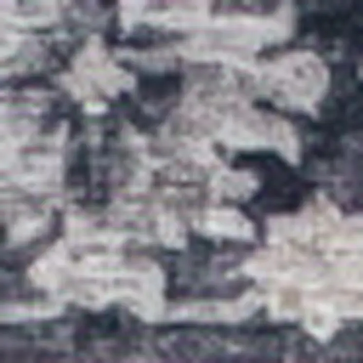 4' X 6' Black and Gray Oriental Area Rug