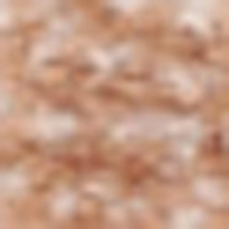 5' X 7' Gray and Red Oriental Power Loom Area Rug