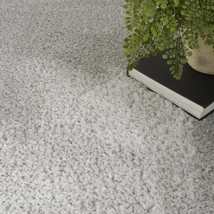 5' X 7' Silver Shag Power Loom Area Rug