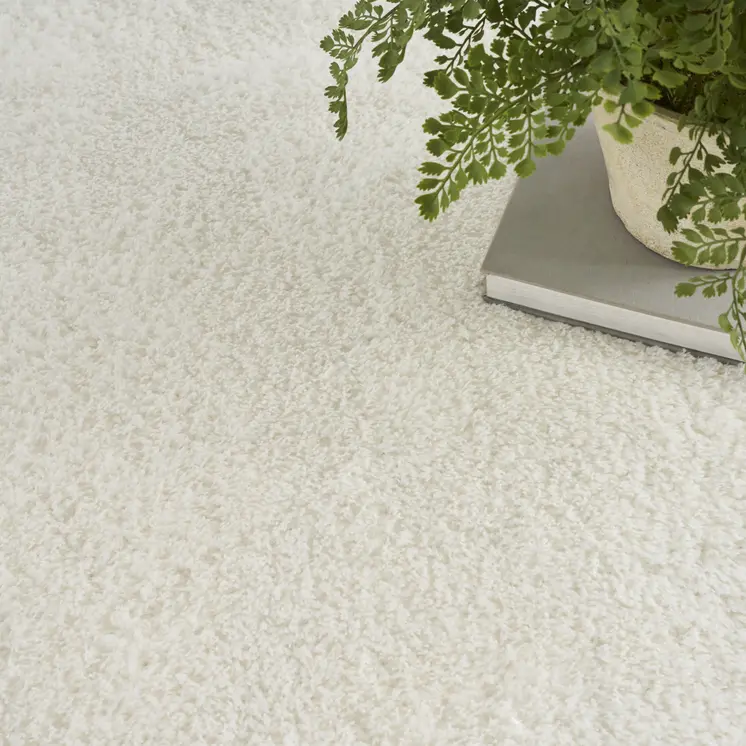 5' X 7' Ivory Shag Power Loom Area Rug