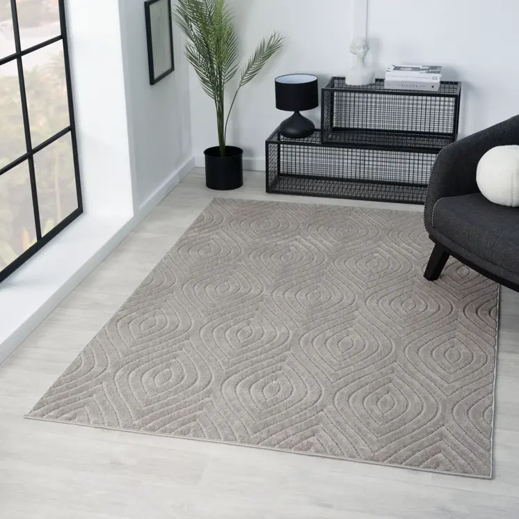 8' X 10' Gray Trellis Area Rug