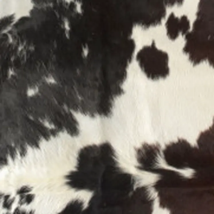 6' X 7' Brown Black and White Cowhide Hand Knotted Area Rug