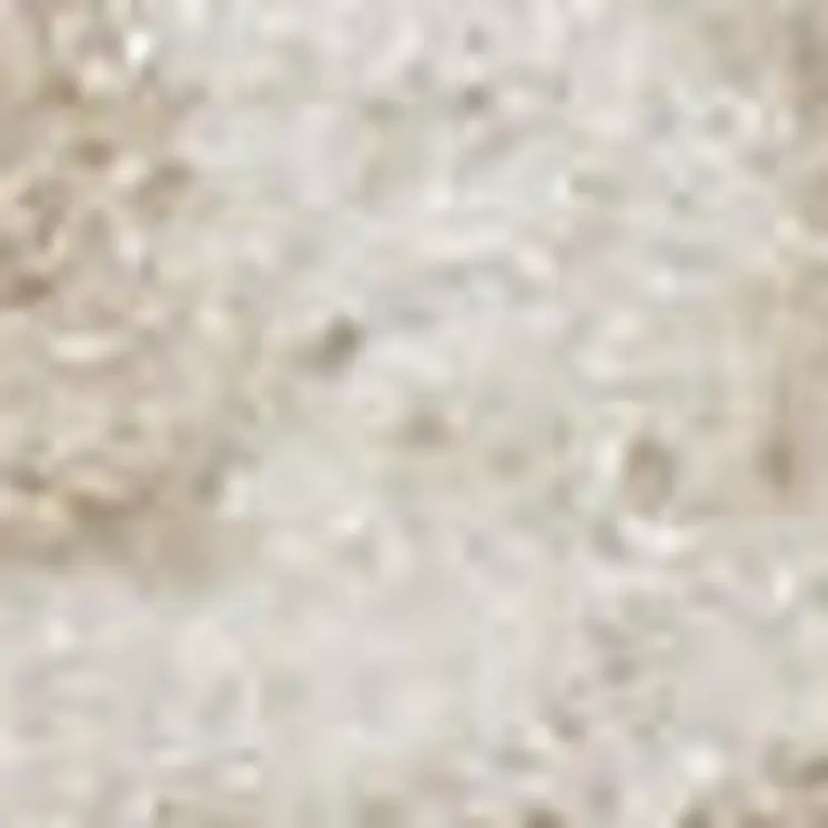 8' X 10' Beige and Ivory Medallion Power Loom Distressed Area Rug
