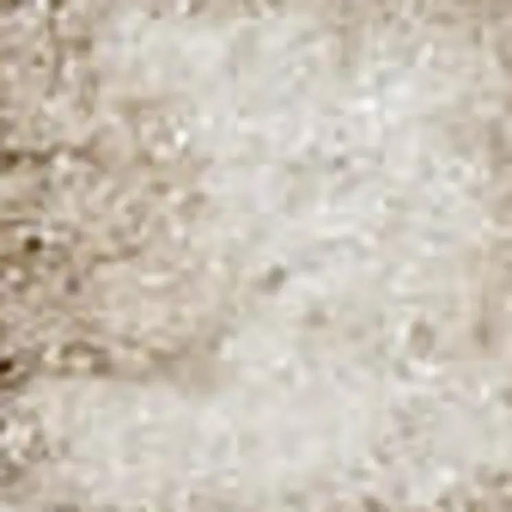 8' X 10' Beige and Ivory Medallion Power Loom Distressed Area Rug