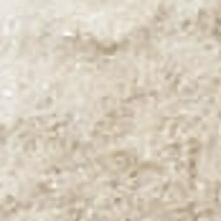 8' X 10' Beige and Ivory Moroccan Power Loom Area Rug