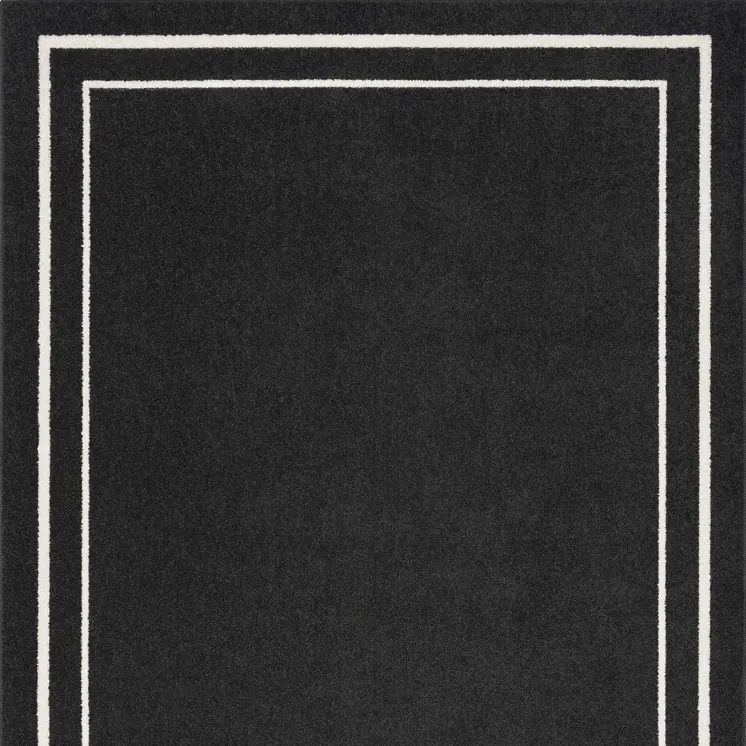 4' X 6' Black And Ivory Indoor Outdoor Area Rug