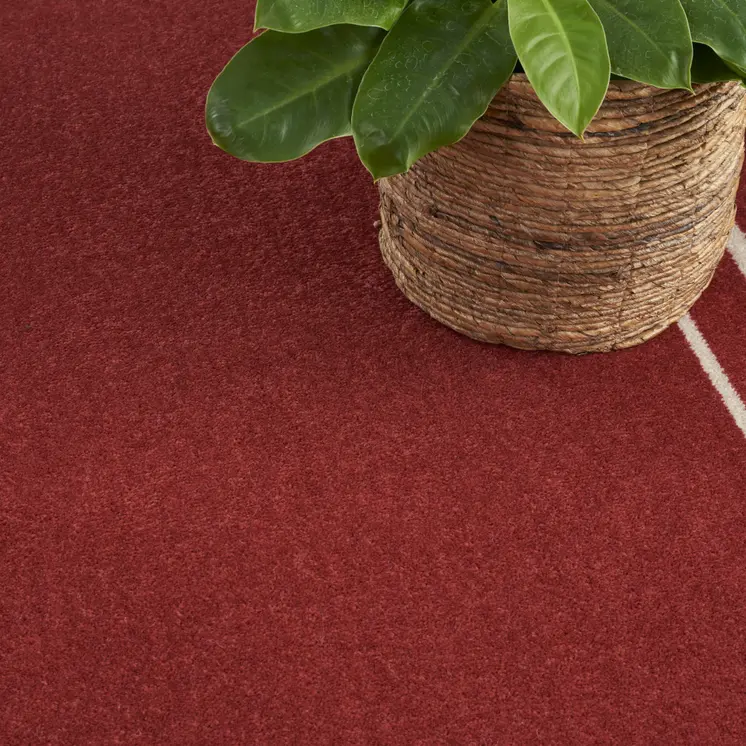 4' X 6' Brick Red And Ivory Indoor Outdoor Area Rug