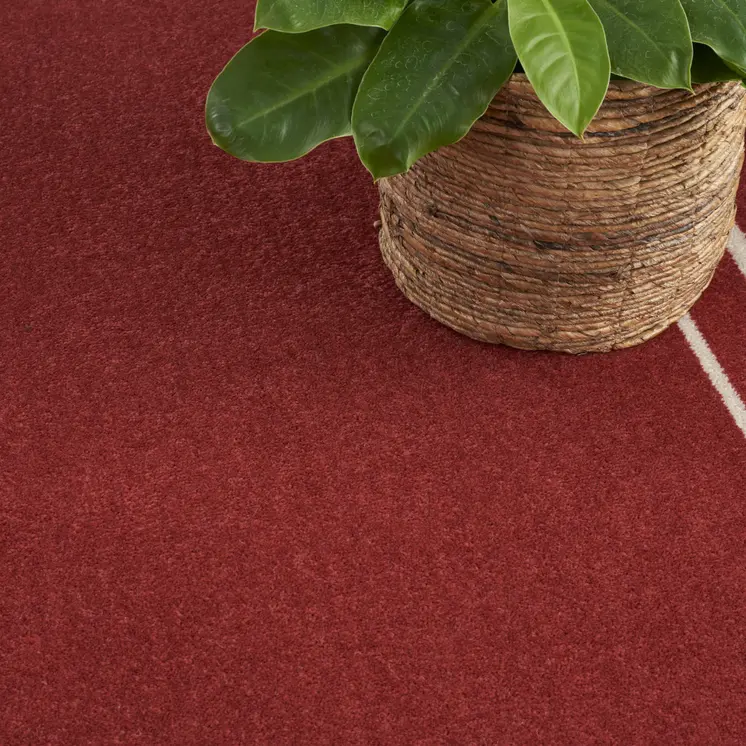 4' X 6' Brick Red And Ivory Indoor Outdoor Area Rug
