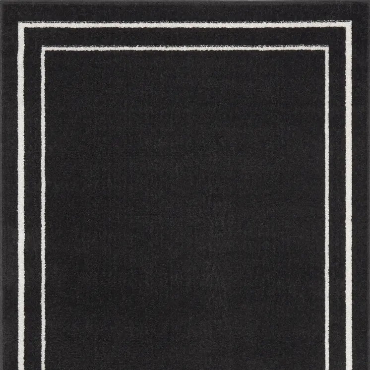 2' X 4' Black And Ivory Indoor Outdoor Area Rug