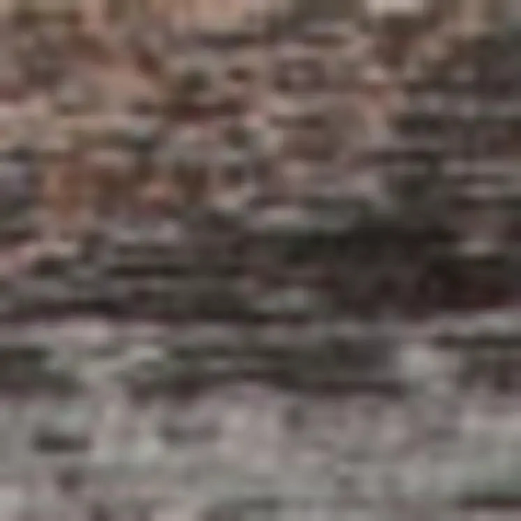 5' X 7' Gray and Beige Medallion Non Skid Area Rug