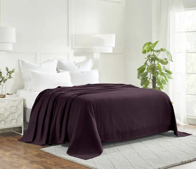 King Plum Cotton Woven Chevron Blanket