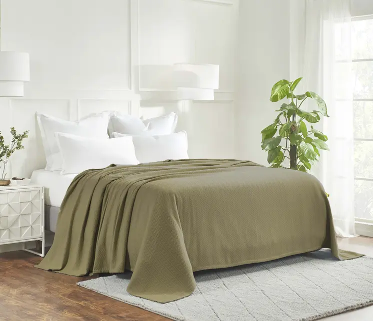 Twin Sage Cotton Woven Chevron Blanket