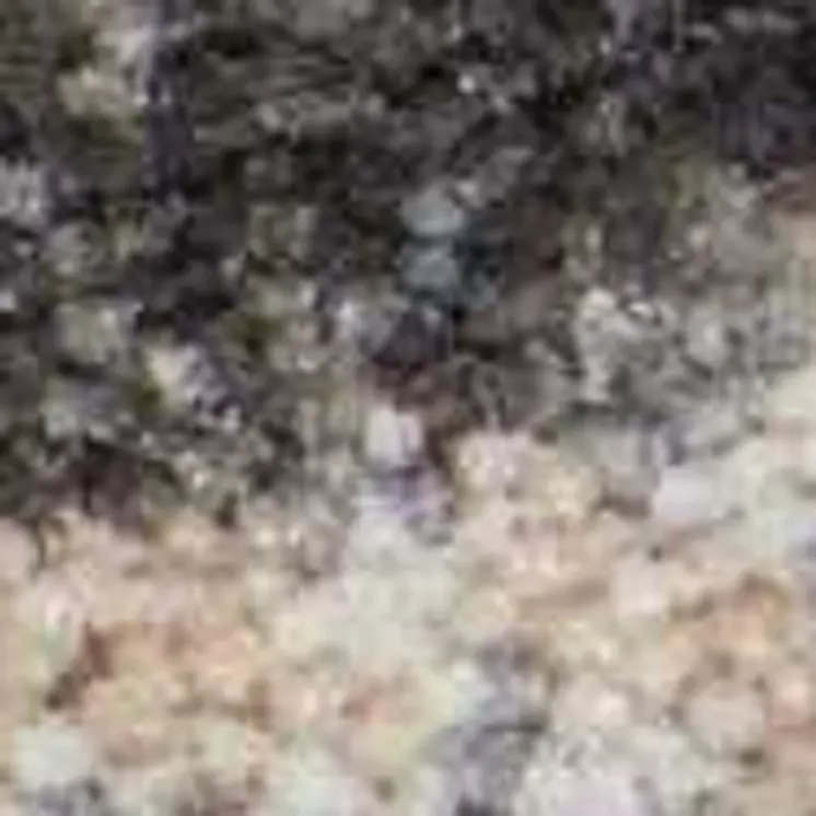 5' X 7' Beige Charcoal and Cream Animal Print Distressed Non Skid Area Rug