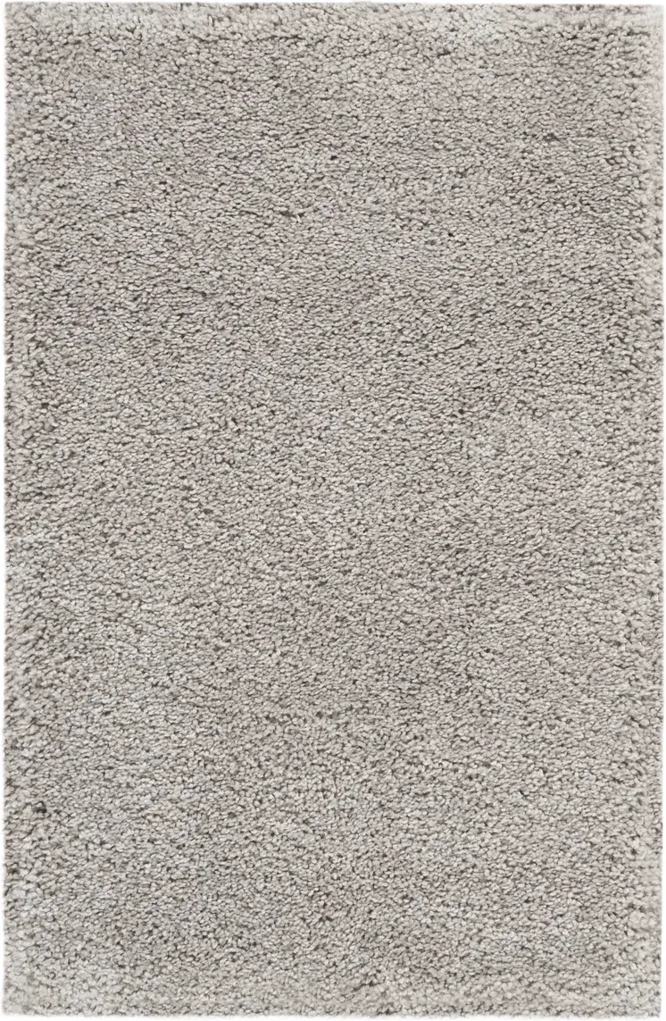 3' X 4' Gray Shag Distressed Area Rug